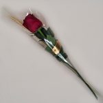 ROSA-VERMELHA-PRESENTE-UNIDADE