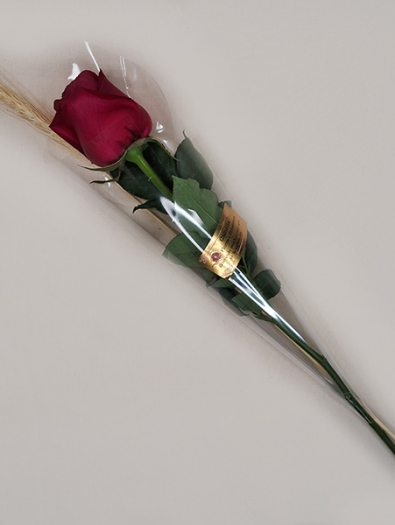 ROSA-VERMELHA-PRESENTE-UNIDADE
