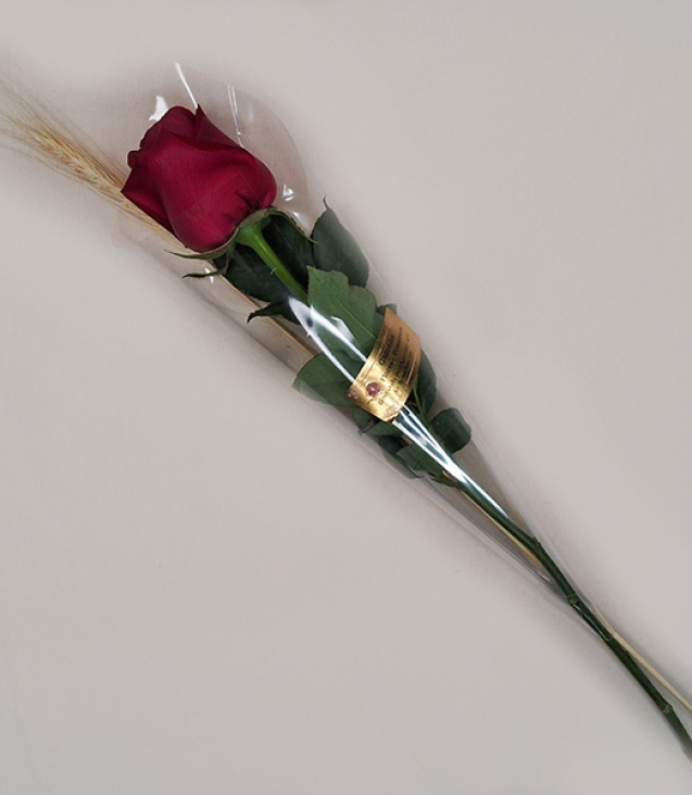 ROSA-VERMELHA-PRESENTE-UNIDADE
