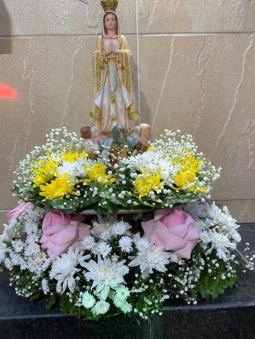 WhatsApp Image 2024-11-26 at 17.27.55(2)