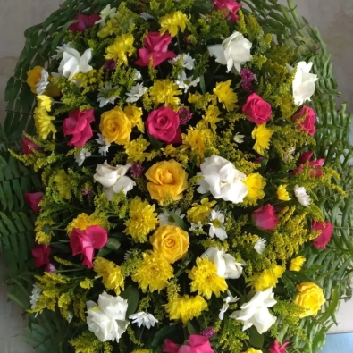 WhatsApp Image 2024-11-26 at 17.27.56