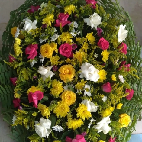 WhatsApp Image 2024-11-26 at 17.27.56
