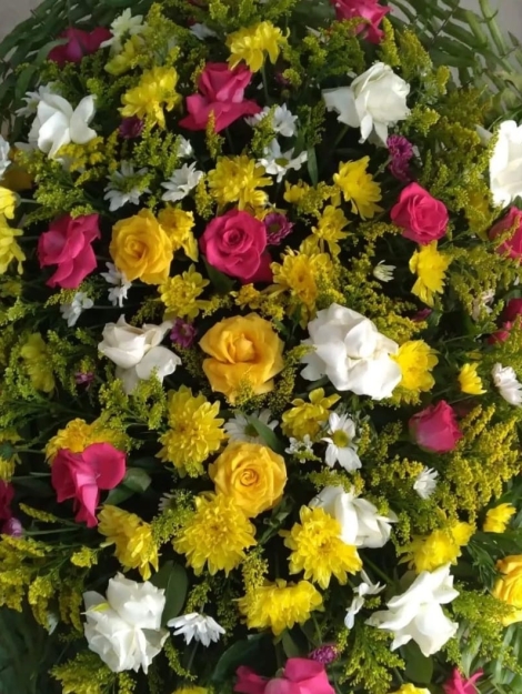 WhatsApp Image 2024-11-26 at 17.27.56