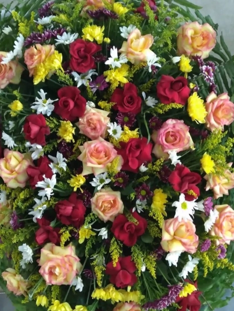 WhatsApp Image 2024-11-26 at 17.27.56(1)
